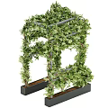Living Plant Wall Decorative Design With Black Planters And Lush Greenery For Indoor Outdoor Spaces