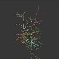 Detailed Neural Cells 3D Model With Branch Structures And Gray Background