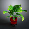 Indoor Potted Plant Decoration With Green Leaves Red Pot And Wheeled Stand