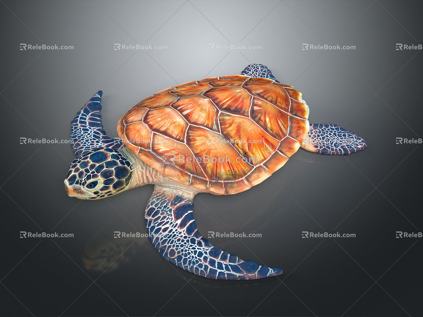 Turtle Turtle Cartoon Turtle Snapping Turtle Chickbill Turtle Reptile Cold Blooded Animal Reptile Reptile Class 3d model