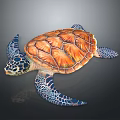 Turtle Cartoon Turtle Snapping Turtle Chickbill Turtle Reptile Cold Blooded Animal Reptile Class 3d model