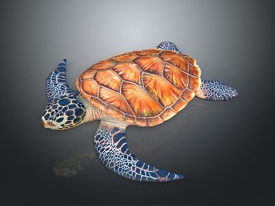 Turtle Cartoon Turtle Snapping Turtle Chickbill Turtle Reptile Cold Blooded Animal Reptile Class 3d model