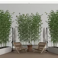 Tall Bamboo Plants In Outdoor Patio With Wooden Lounge Chairs And Concrete Planters