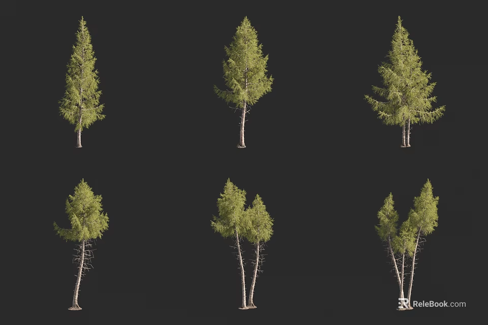 Arbor Trees In Various Growth Forms With Single And Double Trunks And Green Foliage 3d model