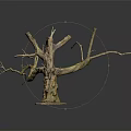 Natural Wooden Dry Tree Trunk Featuring Branched Twigs On Stone Base Black Background