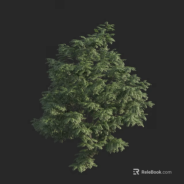 Lush Green Arbor With Dense Foliage And Natural Canopy Structure 3d model