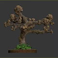 Decorative Tree Plant With Brown Trunk Branches And Green Leaves On Round Base