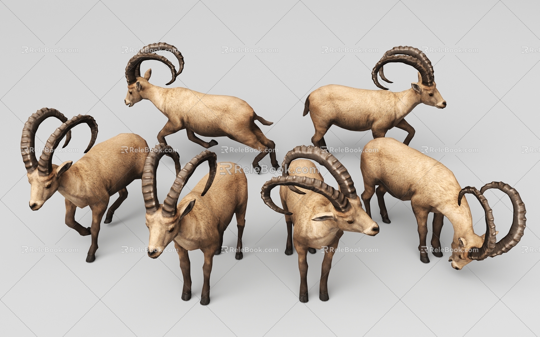 wild goat 3d model