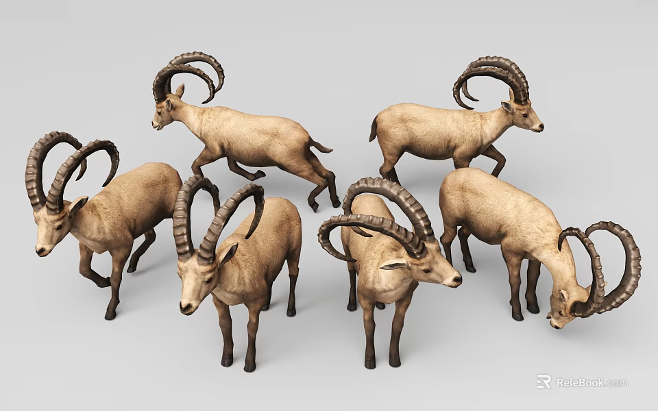 3D Modeled Wild Mountain Goats In A Group With Big Horns 3d model 