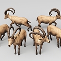 wild goat 3d model