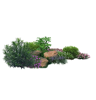 HD Green Plant Tree Shrub 3d model