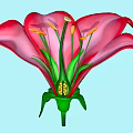 Beautiful Vibrant Red Flower With Green Stamens Yellow Anthers And Petals