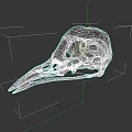Detailed Bird Skull of Flying Animal with Bronze Patina on Dark Background