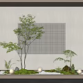 Modern Indoor Garden Decor With Small Trees Ferns Moss Stones And Pebbles