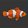 Modern Fish Clown Fish Tropical Fish Ornamental Fish 3d model