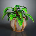 Lush Green Leaf Plant with Brown Straps and Orange Accents in Stone Pot