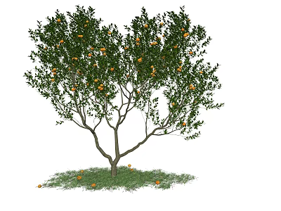 Lush Tree With Green Leaves Orange Fruits And Fallen Fruits On Grass 3d model