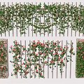 Lush Decorative Vines Covering Wooden Fence and Brick Wall with Red Pink Flowers