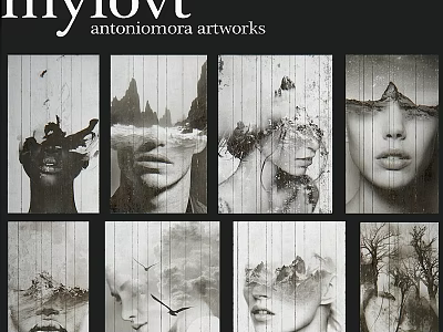 Black and White Wall Decor with Portrait Mountain Bird Tree Artworks and Wooden Texture 3d model