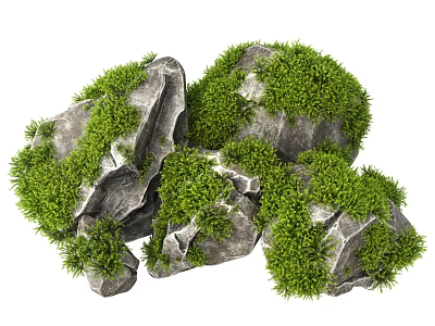 Rockery Stones With Green Moss And Natural Surface Texture For Garden Decoration 3d model