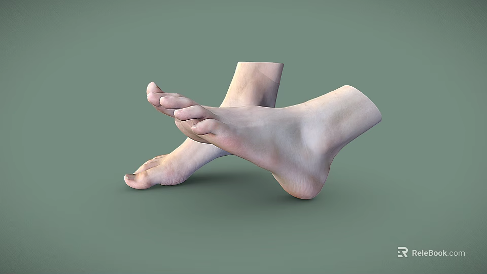 Man's Relaxed Bare Feet Anatomical Structure On Smooth Green Background 3d model 