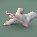 Man's Relaxed Bare Feet Anatomical Structure On Smooth Green Background