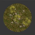 Natural Terrain With Scattered Stones Dirt And Small Grass In Circular Area