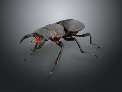 Black And Orange Horned Reptile With Long Legs On Gray Background 3d model