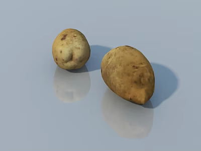Whole Fresh Raw Potatoes With Natural Brown Spots On Light Blue Surface 3d model