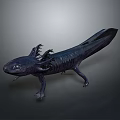 Axolotl Aquatic Creature With External Gills Sleek Body And Flat Tail