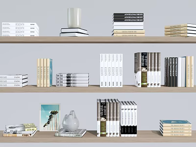 Organized Bookshelf With Multiple Shelves And Neatly Arranged Book Magazine Collection 3d model