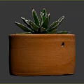 Succulent Plant With Green Leaves And White Stripes In Orange Terracotta Pot With Small Pebbles