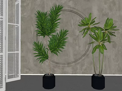 Lush Green Potted Plants In Black Pots With Gray Wall And Circular Decor 3d model