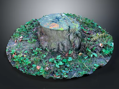 Natural Wooden Stump Surrounded By Green Vines Moss Mushrooms And Fallen Leaves 3d model