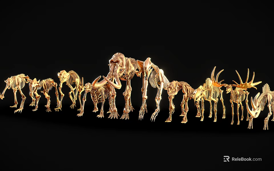 Golden Animal Skeleton Collection Arranged in Line Against Black Background 3d model 