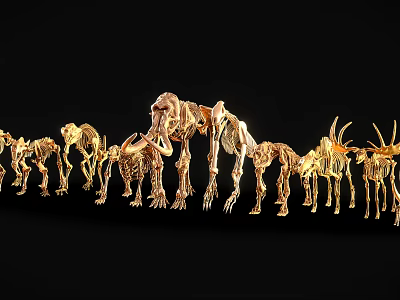 Golden Animal Skeleton Collection Arranged in Line Against Black Background 3d model