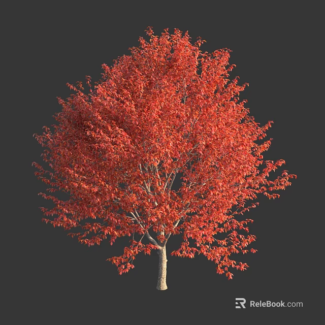 Vibrant Red Leaf Tree With Brown Trunk And Lush Canopy On Black Background 3d model