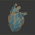 Human Heart 3D Rendered Blue With Yellow Vascular Texture Detailed Anatomical Chest Organ