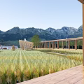 Scenic Rural Landscape With Vast Rice Field Distant Mountains And Wooden Veranda Under Blue Sky
