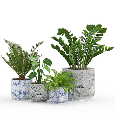 Decorative Ornament Set With Various Indoor Plants In Textured Blue And Gray Planters 3d model