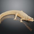 Modern Crocodile Alligator Nile Crocodile carnivore 3d model