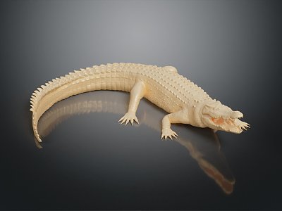 Modern Crocodile Alligator Nile Crocodile carnivore 3d model