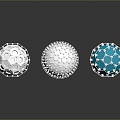 eukaryotic cell cross section cell cell structure cell tissue anatomy organ human organ 3d model