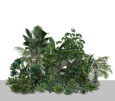 Lush Green Plant Collection Featuring Tropical Palm Banana Leaves And Foliage 3d model