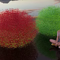 Red and Green Rounded Bushes with Girl Sitting Nearby Water Reflection Mountain Sky Backdrop