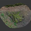 Natural Stone Rock Formation With Moss Covered Surface And Soil Ground Texture Landscape