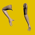 White Mannequin Model Arms Displaying Different Poses And Detailed Structure 3d model