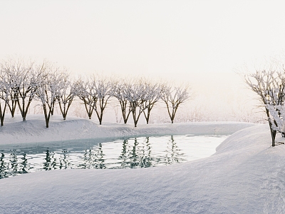 Winter Snow Terrain Forest 3d model