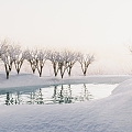 Winter Snow Terrain Forest 3d model