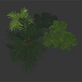 Green Potted Plants With Varied Leaf Shapes In Gray Containers On Dark Reflective Surface